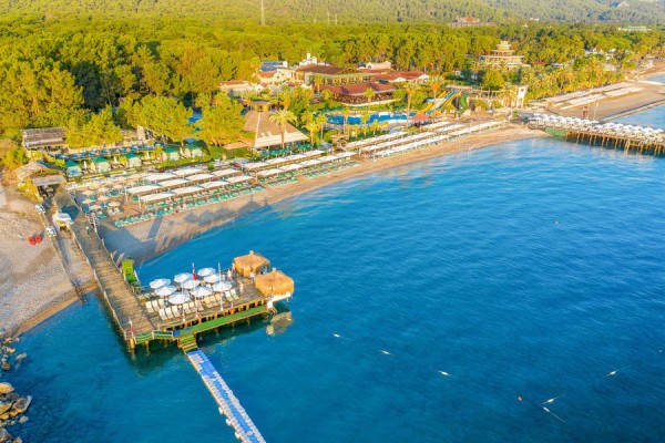 Gypsophila Club Marine