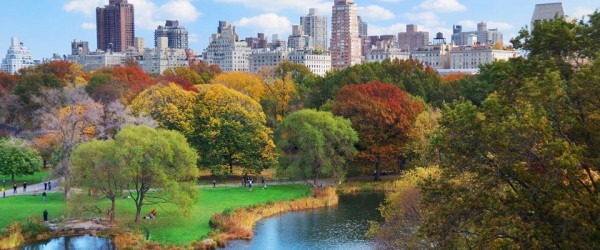 Amerika Efsaneleri New York Los Angeles Las Vegas